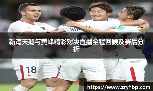 新泻天鹅与黄蜂精彩对决直播全程回顾及赛后分析